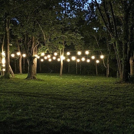 Ambience Pro Outdoor String Lights Solar Hanging Weatherproof 1w Image By Brightech Containing Nature Grass Tree Light Lighting