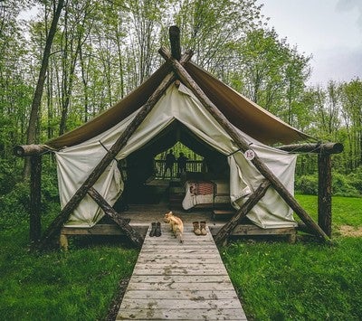 Glamping Hub Luxury Camping Destinations From Around The World Image By Siyazarrabi Containing Tent Tree Grass Plant Hut