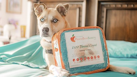 Rated Best Bed Sheets Ever The Original Peachskinsheets